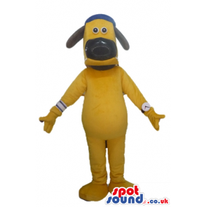 Yellow dog with a black nose and ears wearing a blue cap -