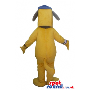 Yellow dog with a black nose and ears wearing a blue cap -