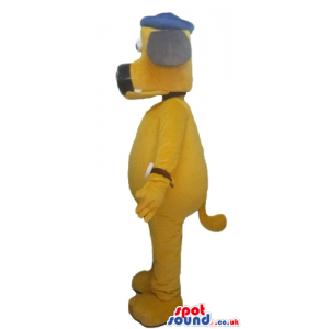 Yellow dog with a black nose and ears wearing a blue cap -