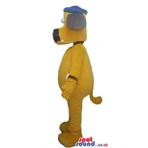 Yellow dog with a black nose and ears wearing a blue cap -