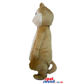 Mascot costume of a fat brown squirrel - Custom Mascots