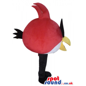 Red and yellow angry bird with a yellow beak, black glasses and