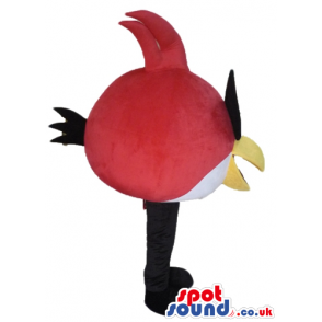 Red and yellow angry bird with a yellow beak, black glasses and