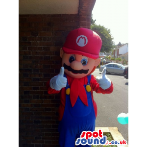 Super Mario Bros Video Game Characters Couple Mascots - Custom