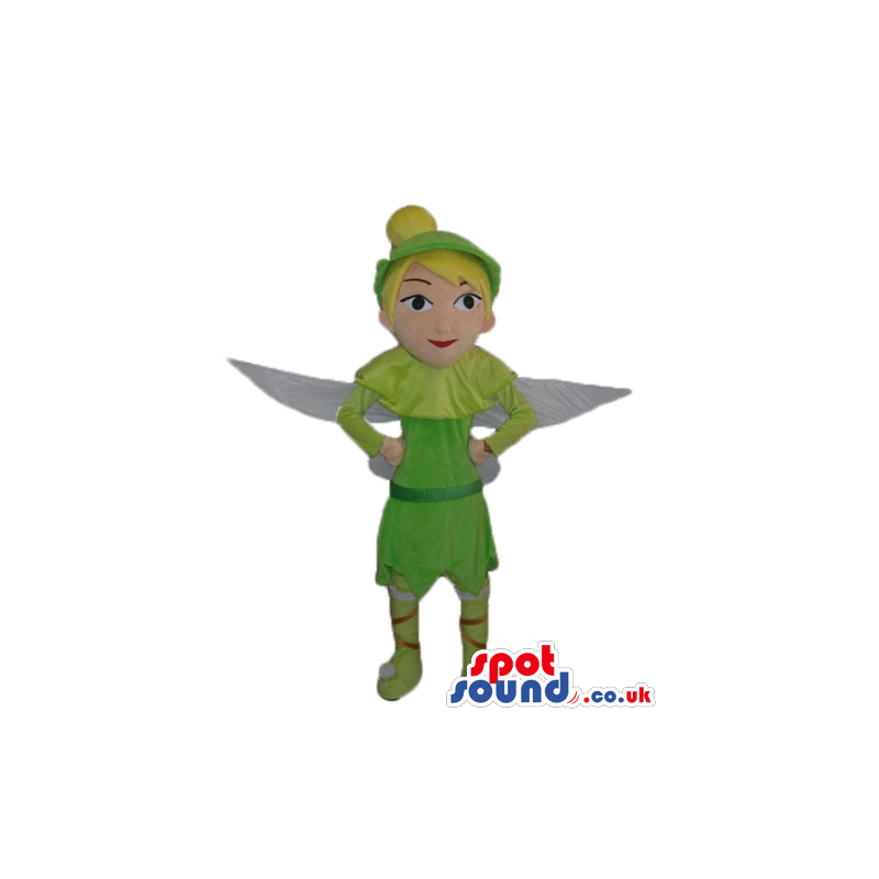 Mascot costume of peter pan - Custom Mascots