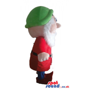 Dwarf with a long white beard wearing a green hat, a red shirt