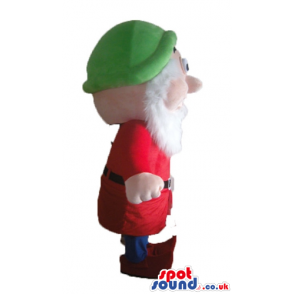 Dwarf with a long white beard wearing a green hat, a red shirt