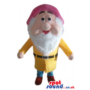 Dwarf with a long white beard wearing a red hat, a yellow