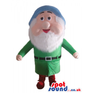Dwarf with a long white beard wearing a blue hat, a green