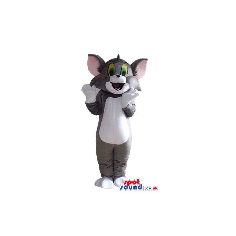 Mascot costume of tom cat - your mascot in a box! - Custom