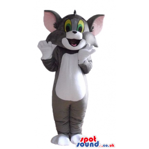 Mascot costume of tom cat - your mascot in a box! - Custom