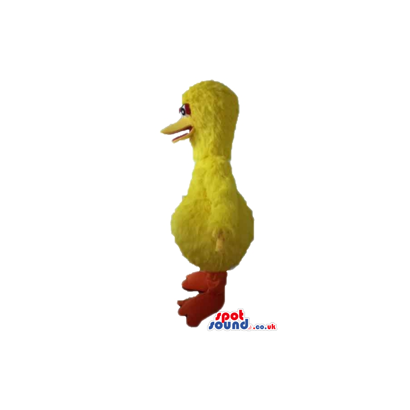 Yellow chicken with red feet - Custom Mascots