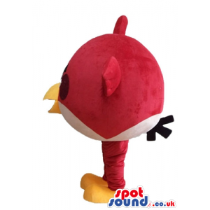 Red angry bird with big eyes, thick black eyebrows and a huge