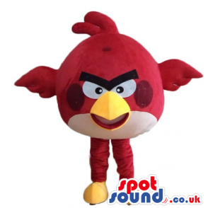 Red angry bird with big eyes, thick black eyebrows and a huge