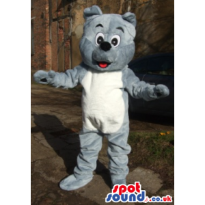 Grey Teddy Bear Mascot With White Belly And Black Nose
