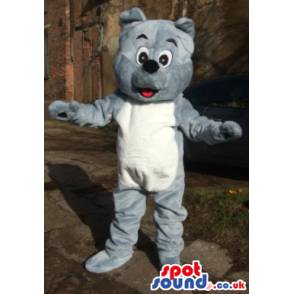 Grey Teddy Bear Mascot With White Belly And Black Nose - Custom