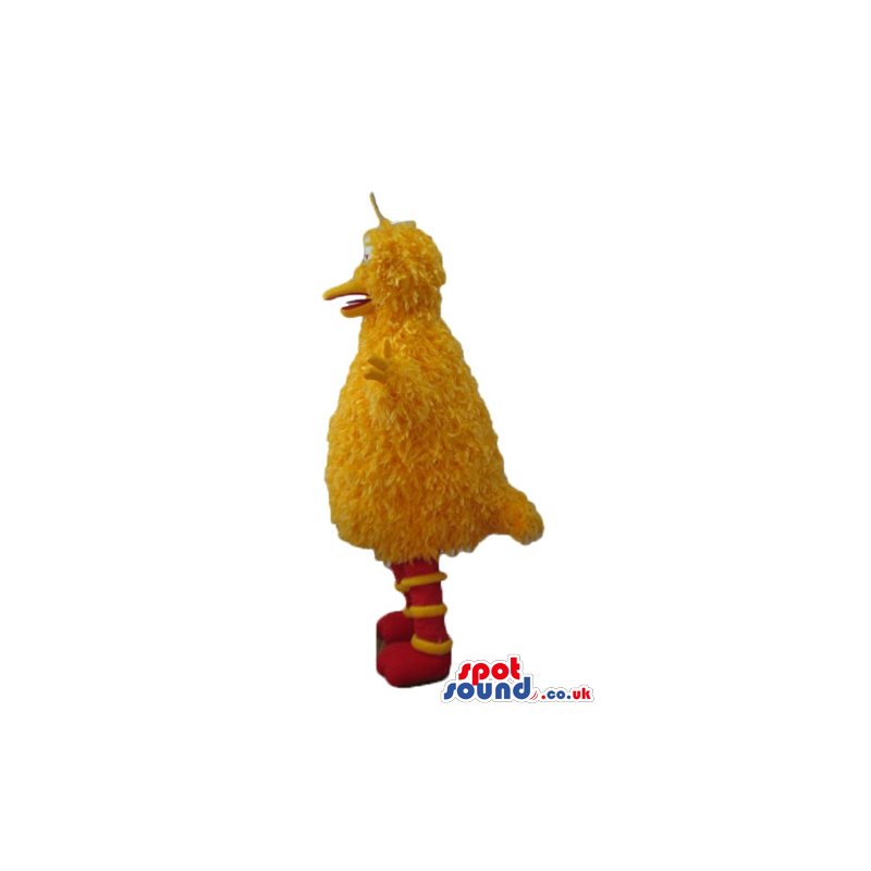 Yellow bird with striped yellow and red feet - Custom Mascots