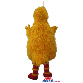 Yellow bird with striped yellow and red feet - Custom Mascots