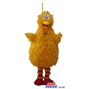 Yellow bird with striped yellow and red feet - Custom Mascots