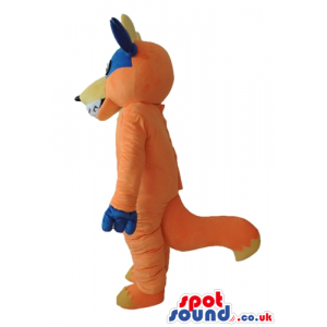 Orange fox with a yellow belly and ears wearing a blue mask