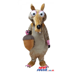 Brown animal with a long nose and big eyes holding a nut -