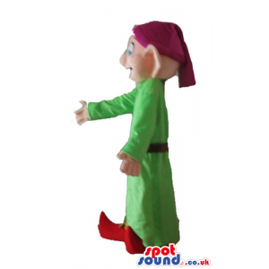 Elf wearing a long green tunic, a purple hat, orange trousers