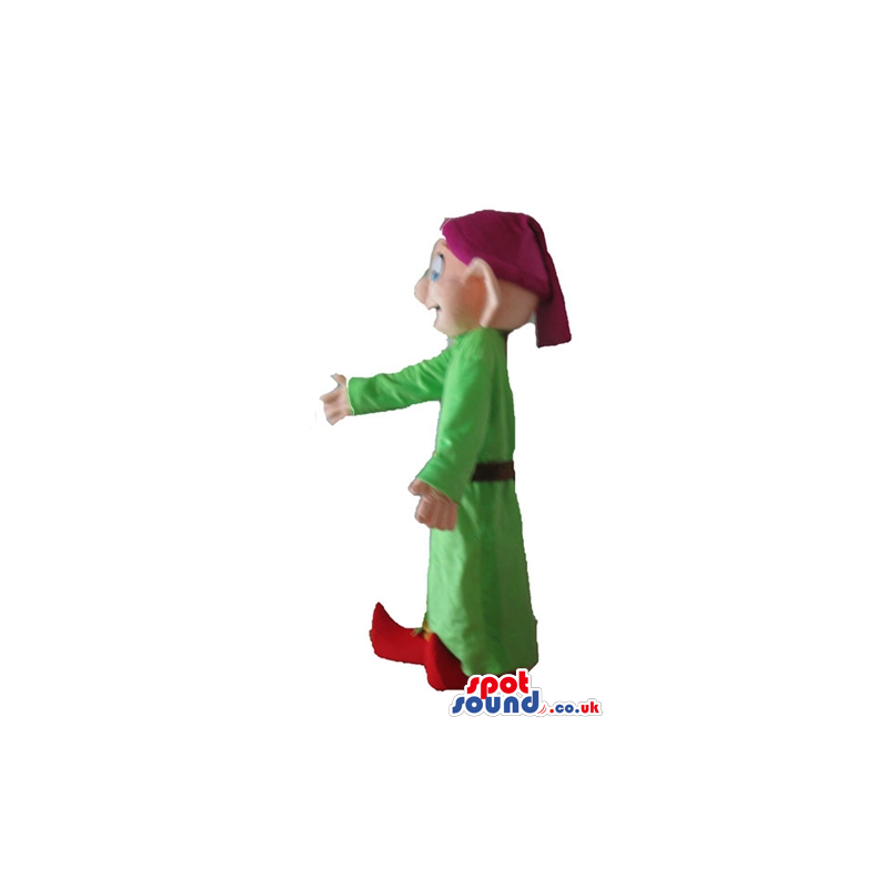 Elf wearing a long green tunic, a purple hat, orange trousers