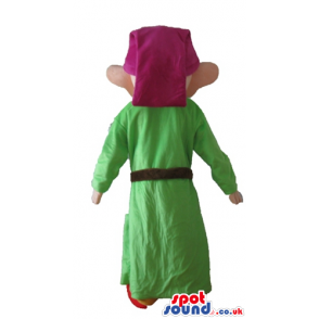 Elf wearing a long green tunic, a purple hat, orange trousers