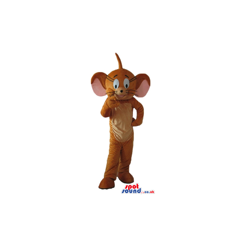 Mascot costume of jerry mouse - Custom Mascots