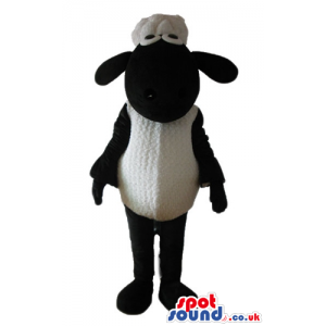 White sheep with black face, arms, legs, hands and feet -