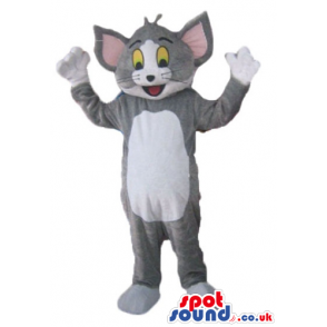Mascot costume of tom cat - your mascot in a box! - Custom