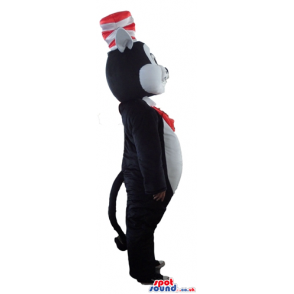 Black and white cat wearing a red and white top hat and a red