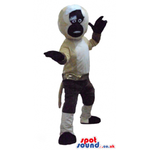 Beige monkey with a black face and black and beige legs -