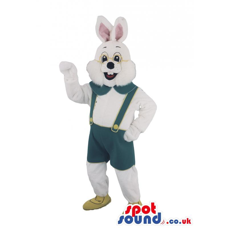 Charming bunny mascot with greenish blue jumper and in brown