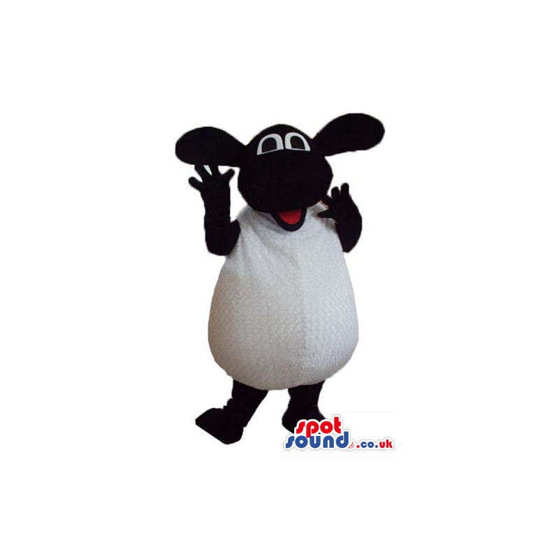 White sheep with black face, arms, legs, hands and feet -