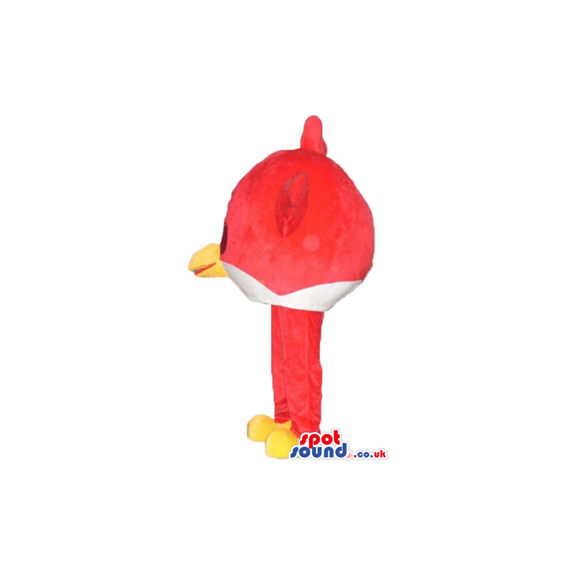 Red and white angry bird with a yellow beak, black glasses and