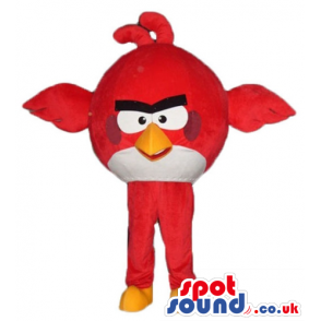 Red and white angry bird with a yellow beak, black glasses and