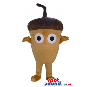 Acorn with big eyes - your mascot in a box! - Custom Mascots