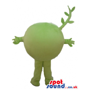 Smiling green grape - your mascot in a box! - Custom Mascots