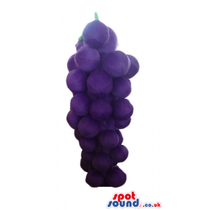 Purple bunch of grapes - your mascot in a box! - Custom Mascots