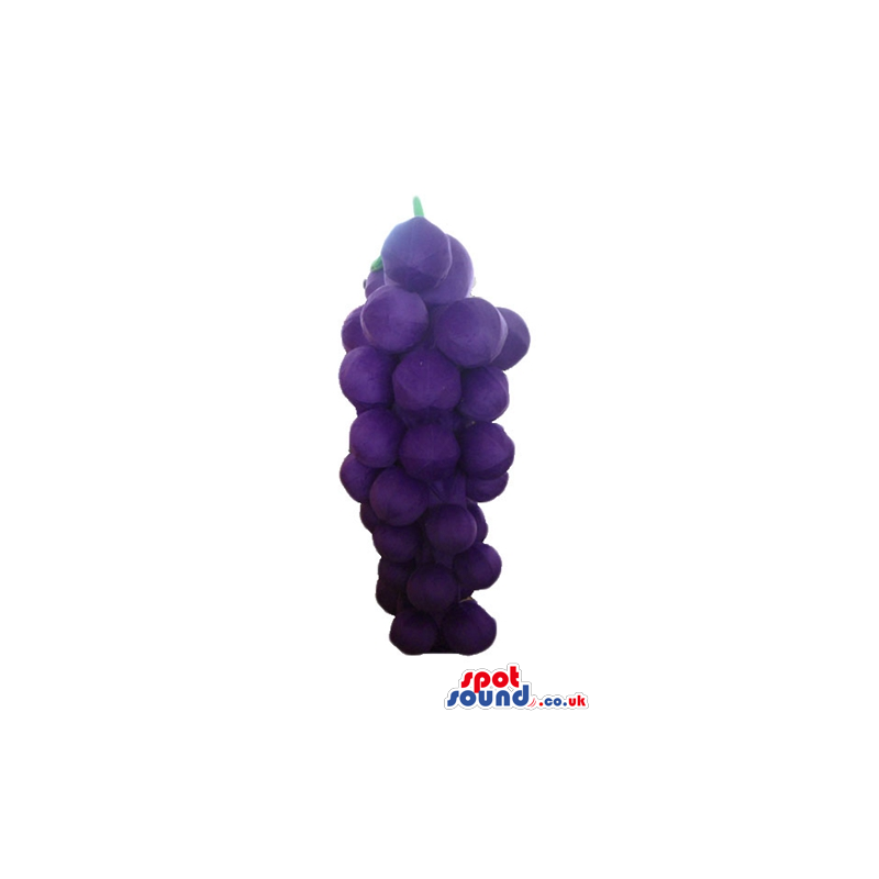 Purple bunch of grapes - your mascot in a box! - Custom Mascots