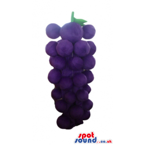 Purple bunch of grapes - your mascot in a box! - Custom Mascots