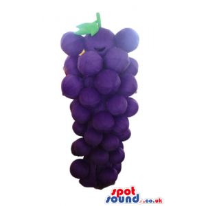Purple bunch of grapes - your mascot in a box! - Custom Mascots