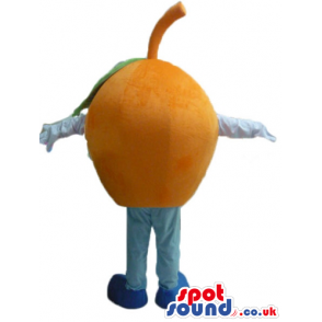 Orange with white arms and light blue legs and feet - Custom