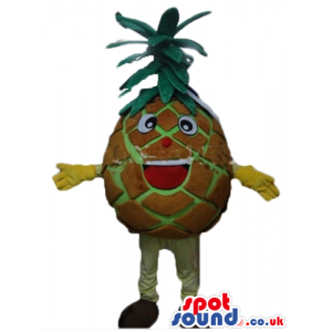 Brown pineapple with green hair, a big smile and big eyes