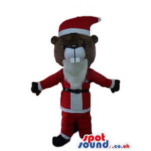 Brown bear with a white beard wearing a santa claus suit -