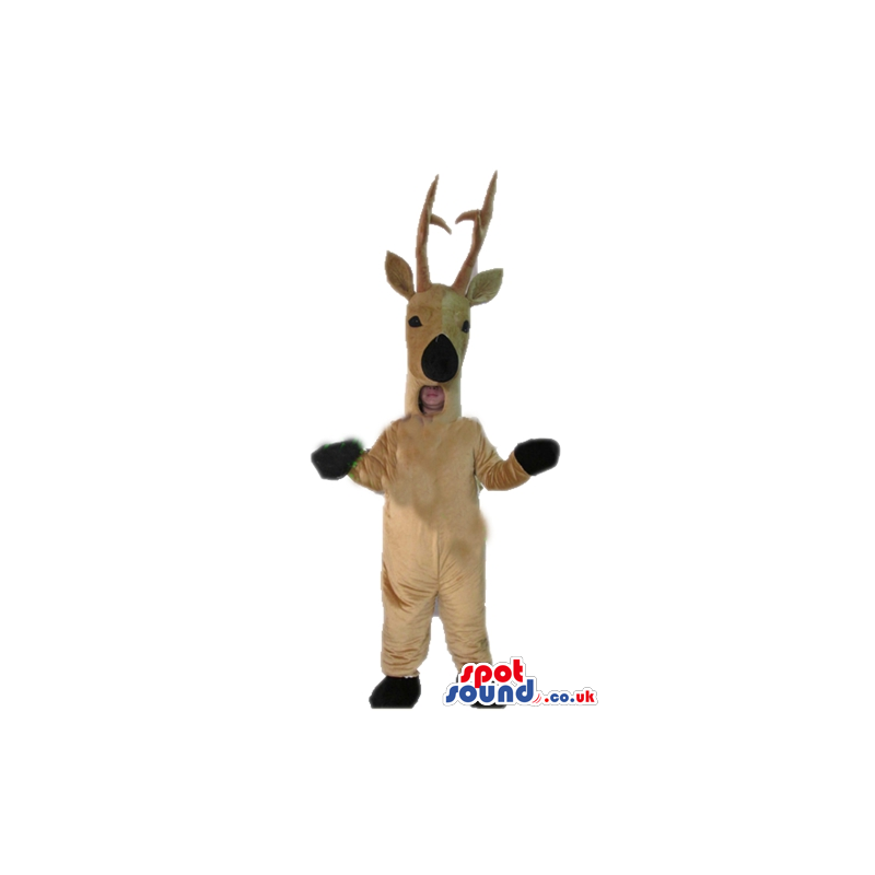 Beige deer with thin horns, brown nose and brown eyes - Custom