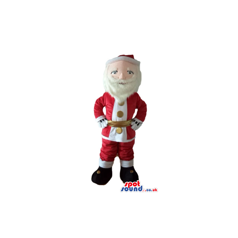 Santa claus - your mascot in a box! - Custom Mascots