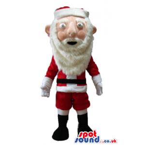 Santa claus - your mascot in a box! - Custom Mascots