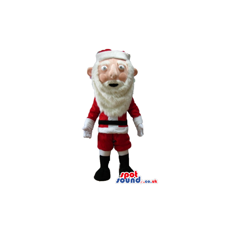 Santa claus - your mascot in a box! - Custom Mascots